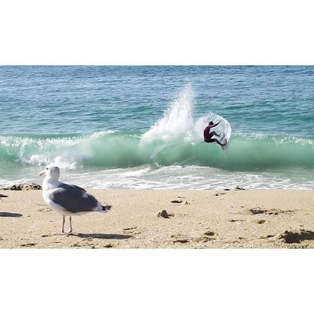 Instabanger: We just posted up a new edit featuring 3 days of skimboarding in California with @exileskimboards team rider @lucasogomes. Head on over to SkimMagazine.com to check it out. #skimboarding #exileskimboards